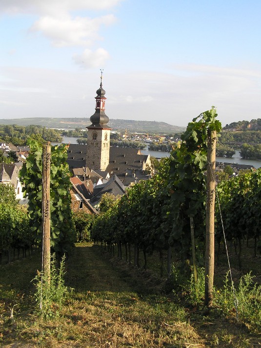 Rudesheimer bishofsberg Rudesheimer bishofsberg